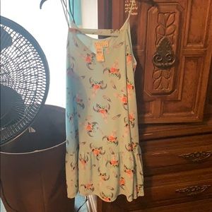 NWT BERRY N CREAM LONGHORN DRESS